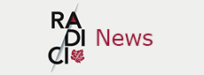 RADICI DEL SUD: INNOVATIVE EDITION THANKS TO THE RADICI.WINEROCK PLATFORM
